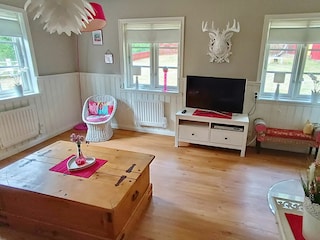 Wohnzimmer mit Kamin und deutschem Sat-TV