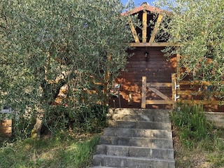 exterior of the bungalow