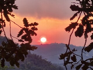 Bungalow Anagni Environment 13