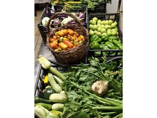 Bungalow Anagni Umgebung 14