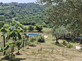 Bungalow Anagni Umgebung 15