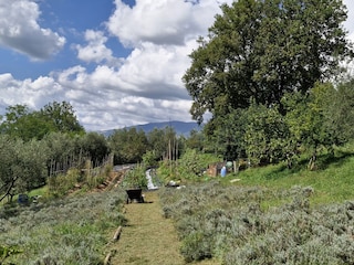Bungalow Anagni Umgebung 16