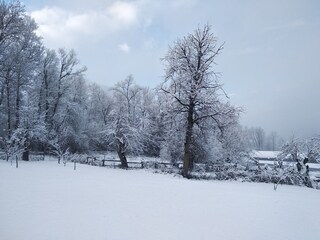 Garden Nature Ski Lodge Sterwen