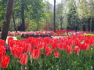 Kostenloser Besuch des Poldergartens Anna Paulowna