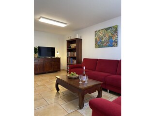 Wohnzimmer mit Bücherregal und Fernseher