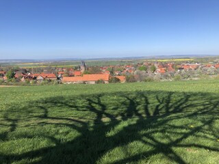 Blick auf Drübeck mit Kloster