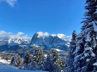 Holiday apartment St. Ulrich in Gröden Environment 25