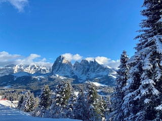 Wintertraumlandschaft