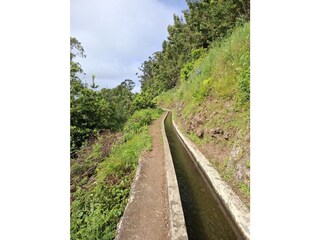 Levada