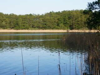 Blick vom Bootsteg auf den Breiten Luzin