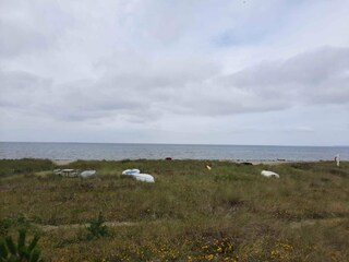 Ferienhaus Bjerge Strand Außenaufnahme 7