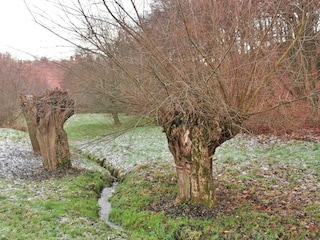 Apartment Freital Umgebung 13