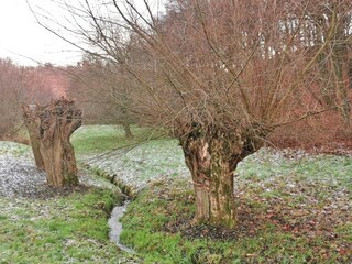 Appartamento Freital Ambiente 13