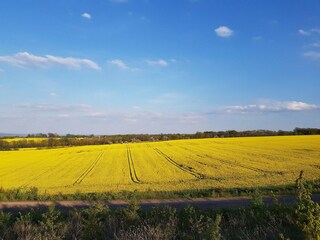 Appartement Freital Environnement 15