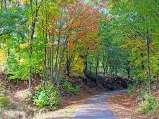 Appartement Freital Environnement 16