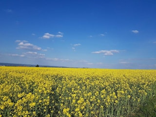 Apartment Freital Umgebung 17