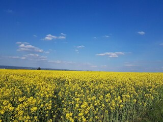 Appartement Freital Omgeving 17