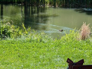 Appartamento Freital Ambiente 18