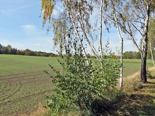 Apartment Freital Umgebung 20