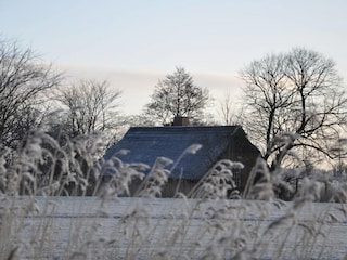 Apartment Sillens Outdoor Recording 5