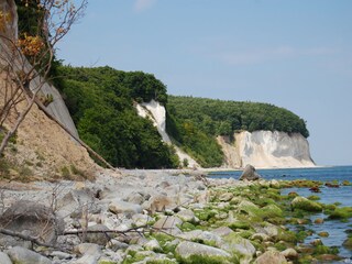 Chalk cliffs