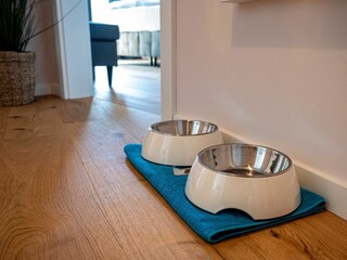 Ferienwohnung Graal-Müritz Ausstattung 31