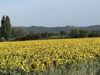 Environnement