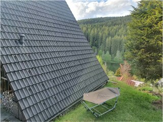 The house is set in the heart of nature