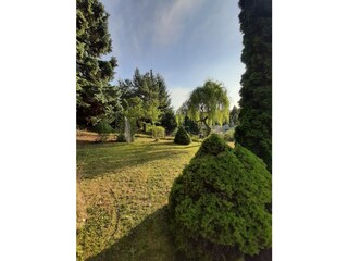 Gartenimpressionen