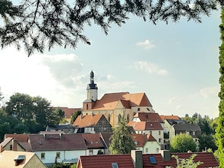 Gartenimpressionen