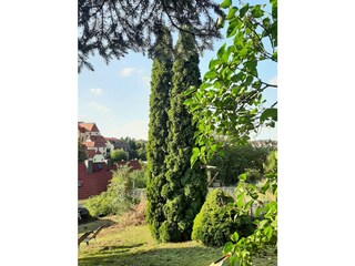 Gartenimpressionen