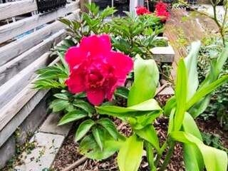 Vakantiehuis Källby  18