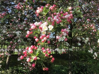 Ferienpark Riethoven Umgebung 25
