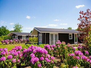 Vakantiepark Riethoven Buitenaudio-opname 3