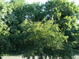 Parc de vacances Riethoven Environnement 26