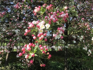 Ferienpark Riethoven Umgebung 19