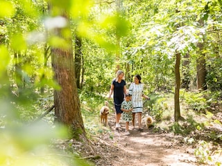 Holiday park Riethoven Environment 23
