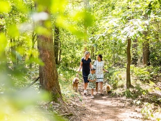 Ferienpark Riethoven Umgebung 25