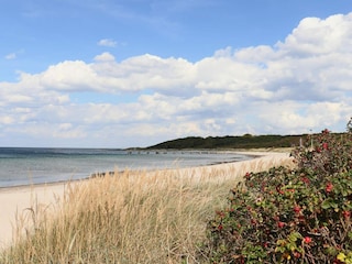 Ferienhaus Vejbystrand  12