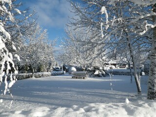 Holiday house Blankenheim Environment 28