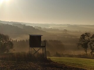 Holiday house Blankenheim Environment 31