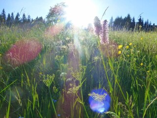 Apartamento de vacaciones Eibenstock Grabación al aire libre 11