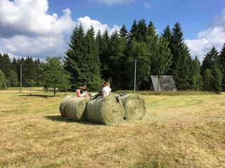 Vakantieappartement Eibenstock Omgeving 34