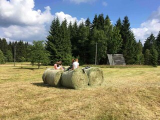 Vakantieappartement Eibenstock Omgeving 40