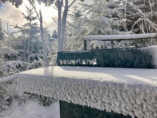 Winterimpressionen