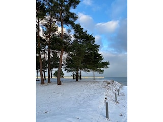 Holiday house Binz Environment 25