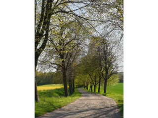 Ferienwohnung Goslar Umgebung 31
