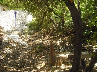 Holiday house Lumbarda  6