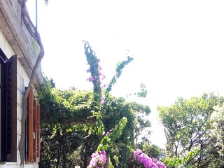 Holiday house Lumbarda  11