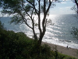 Seeblick